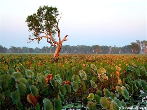 Kakadu National Park in Photos