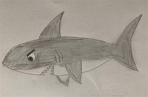 Cute angry Shark by drawasaurus04 on DeviantArt