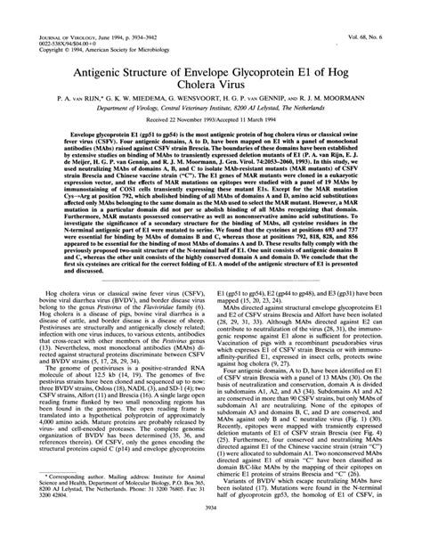 (PDF) Antigenic Structure of Envelope Glycoprotein E1 of Hog-Cholera Virus