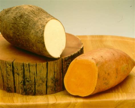 What Is The Difference Between A Sweet Potato And A Yam? | North Carolina Sweet Potatoes