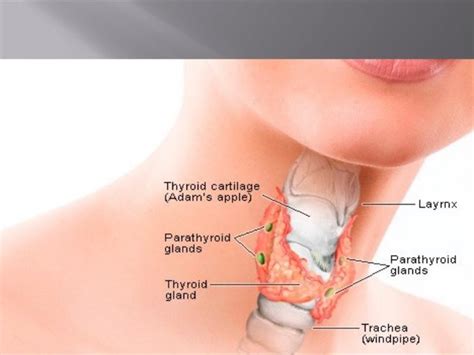 diffuse toxic & endemic goiter