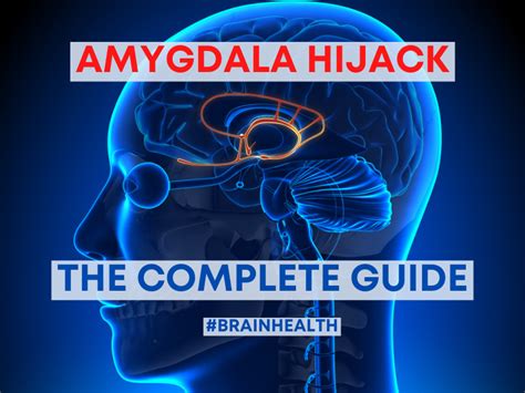 Amygdala Hijack: What it is and How to Stop It