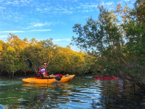 Why Mangrove Kayaking in Abu Dhabi must be on your list | Hopping Feet