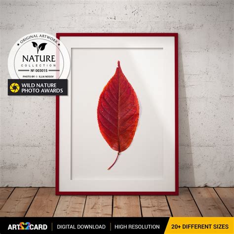 Red Leaf Nature Fall Digital Download Wall Art Print Printable Room Large Poster Color Photo ...