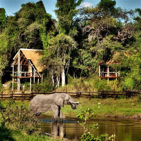 Chobe National Park, Botswana: Elephant majesty & ultimate wildlife safari