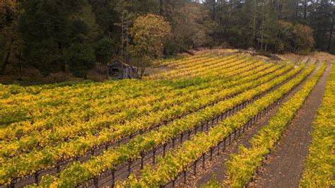 Calistoga's wineries, tasting rooms are welcoming visitors - Calistoga ...