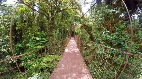 Monteverde Cloud Forest Reserve - The Five Foot Traveler