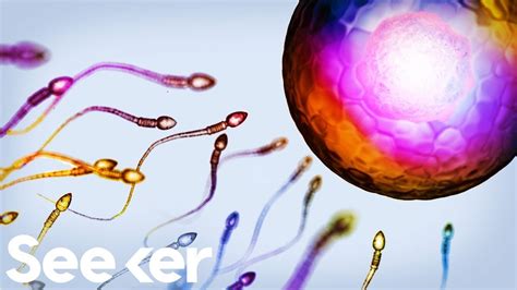 Your Skin Cells Could Make a Baby, Will This Be the End of Infertility ...