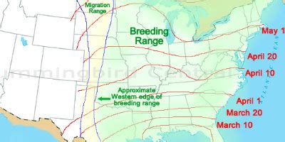 Hummingbird migration in the Spring and Fall through the United States ...