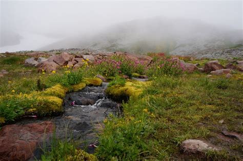 Mount Rainier | Smithsonian Photo Contest | Smithsonian Magazine