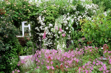 Plants For a Traditional Cottage Garden