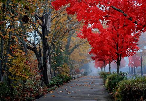 20 Stunning Photos Of Oregon's Fall Foliage | That Oregon Life