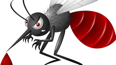 dengue mosquito clipart 20 free Cliparts | Download images on ...