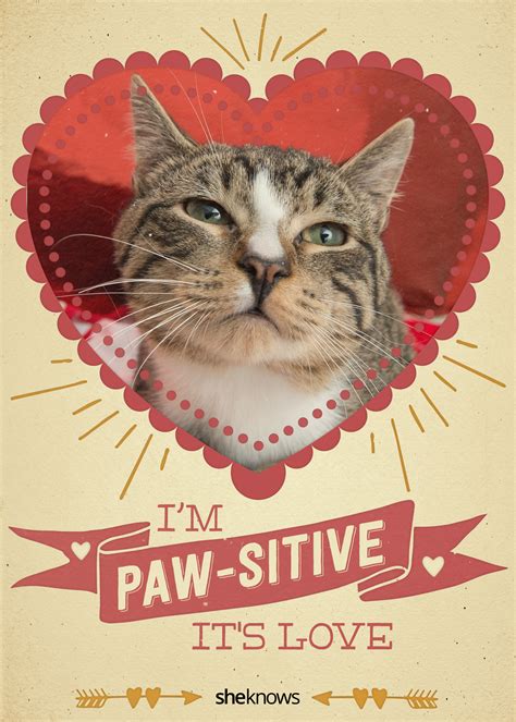 12 Kitty-cat Valentine’s Day cards that will make you aww – SheKnows