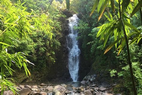 Jungle Hike 2024 - Maui