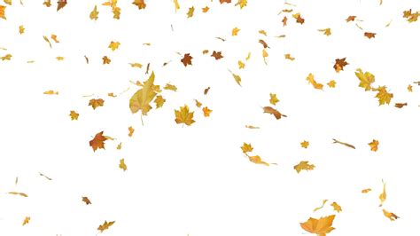 Download Falling Autumn Leaves Png Free Download - Falling Leaves Png Free PNG Image with No ...