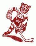 Smiths Falls Bears hockey team [1964-1976 CCHL] statistics and history at hockeydb.com