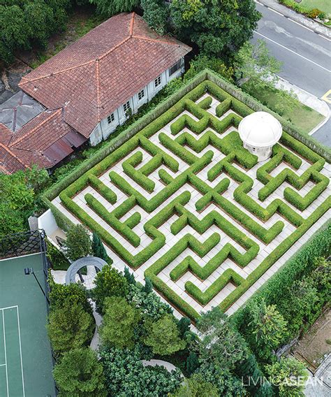 Amazing Maze Garden / Enjoy a Walk in the Garden Maze