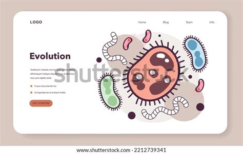 Evolution Life Forms On Earth First Stock Vector (Royalty Free) 2212739341 | Shutterstock