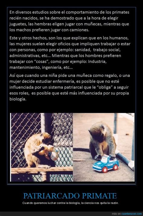 https://www.cuantarazon.com/1067001/estudios-sobre-el-comportamiento-en-primates