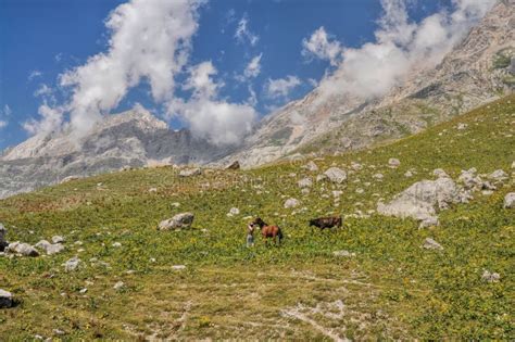 Kyrgyzstan stock photo. Image of kyrgyzstan, picturesque - 49553702