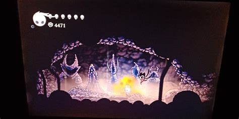 Why is the dung defender not here? : r/HollowKnight