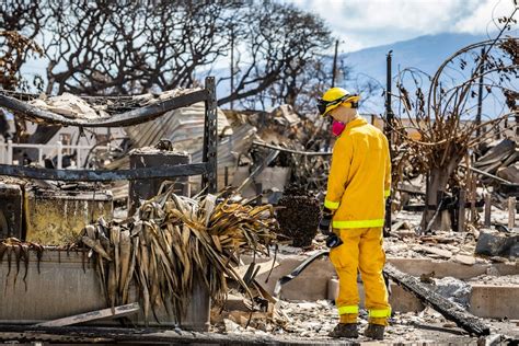 Military Lends Support in Maui Wildfire Aftermath > U.S. Department of ...