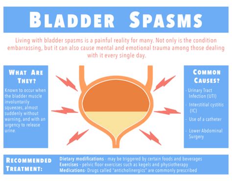 Understanding Bladder Spasms: Causes, Symptoms, and Treatment Options