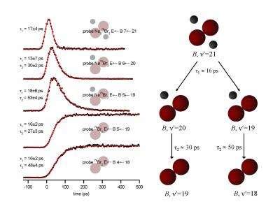 A simple quantum dynamics problem?