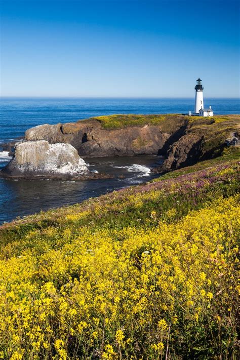 Headlands & Beaches: 25 Stunning Hikes on the Oregon Coast | Oregon coast, Oregon coast hikes ...