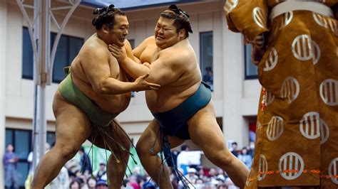 Living in the clean-cut days of sumo wrestling-Sports News , Firstpost