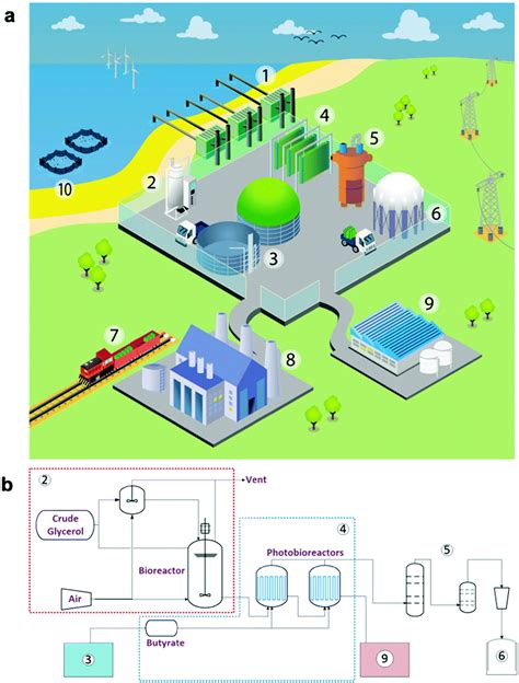 Low carbon strategies for sustainable bio-alkane gas production and renewable energy - Energy ...