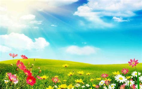 Sunshine and Flowers Wallpapers on WallpaperDog