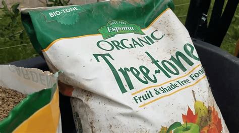 When to Fertilize Apple Trees - 3 Useful Tips