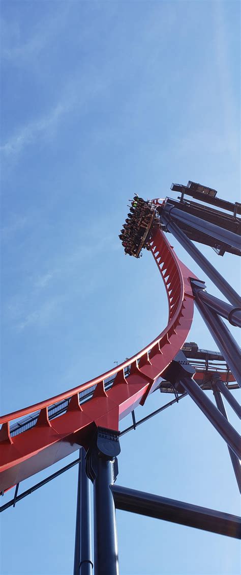 Sheikra's Drop In Action : r/rollercoasters