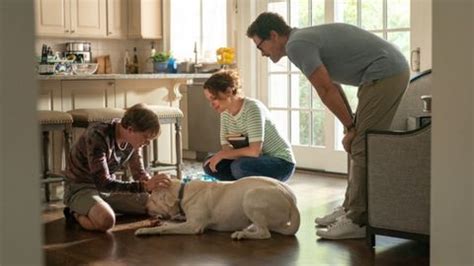 Dog Gone Cast: Where You've Seen The Stars Of Netflix's New Dog Movie | Cinemablend