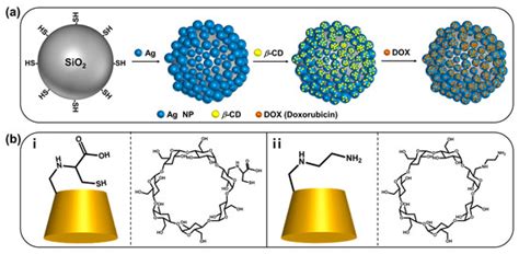 IJMS | Free Full-Text | Functionalized β-Cyclodextrin Immobilized on Ag ...