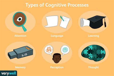 Interesting Facts About Cognitive Psychology