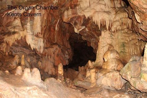 Gallery - Kents Cavern | Dartmoor national park, Devon and cornwall, Cavern