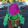 Venus Flytrap Costume | DIY Costumes Under $25