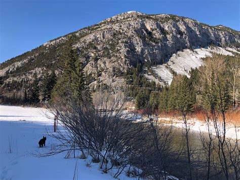 Discover Crowsnest Pass: Hiking Stinky Narrows