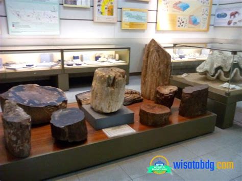 Museum Geologi Bandung, Sejarah, Lokasi, Harga Tiket Masuknya