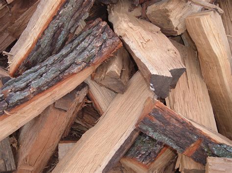 6 Of The Best Types of Firewood To Burn In Campfires