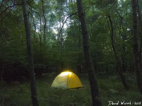 tents in the forest | Tent camping, Tent, Camping