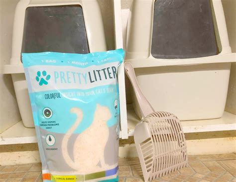 Pretty Litter Subscription Review – The LadyPrefers2Save