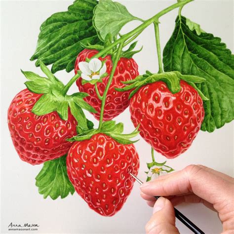 Strawberry watercolour painting | Buah, Seni