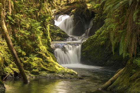 The Best Rain Forest Waterfalls on the Olympic Peninsula, WA