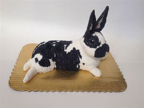 #TTDD Amazing food i get to eat. | Rabbit cake design, Rabbit cake, Bunny cake