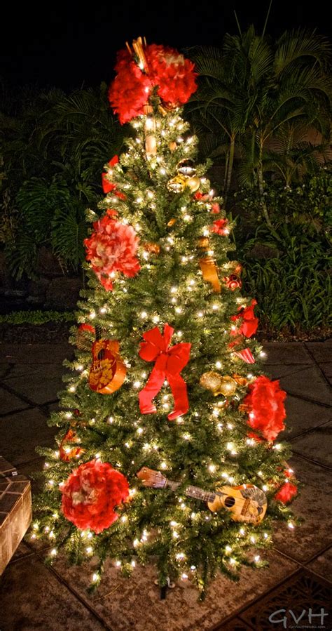 Hawaiian Christmas Tree | Go Visit Hawaii | Flickr