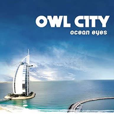 Owl City - Ocean Eyes (Vinyl 2LP) - Music Direct